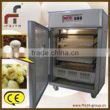 Egg Incubator thumbnail-1