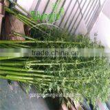 SJLJ013620 Artificial Tree and Plant Fake Plastic Bamboo for Garden Home Decoration thumbnail-2