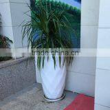 Fiberglass Planter Pot thumbnail-4