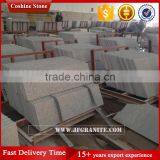 Polished G603 Stair Grey Granite Step thumbnail-2