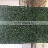 Real Touch Artificial Mangosteen Lawn thumbnail-6