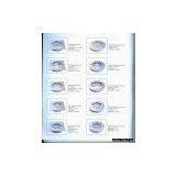 FLOOR DRAIN thumbnail-1