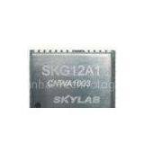 Standar GPS Module SKG12A1
