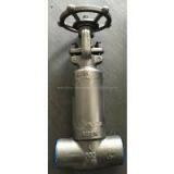 Professional Supply Api 602 Asme b 16.34 Standard Forged Steel Bellow Sealed Gate Valve thumbnail-1