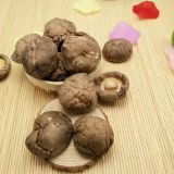 Factory Price Premium Bulk Brown Smooth Thick Dried Shiitake Mushroom Whole 4-5 CM AAA Grade