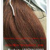 Natural Horse Tail Hair thumbnail-2