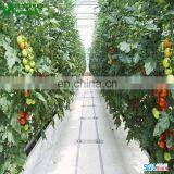 Agricultural Greenhouse/Garden Greenhouse Hydroponic Channels Set Hydroponic Growing Systems