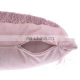 Luxury Modern 100%Polyester Velvet Pillow Cushion With Fringe Tassels for Home Deco thumbnail-5