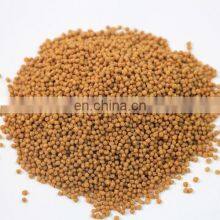 Good Quality Animal Pet Feed Pellet Extruder Machine Fish Feed Dog Cat Feed Pellet Making Machine thumbnail-4