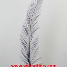 Burnt Rooster/Coque/Cock Tail Feather Dyed Purple from China