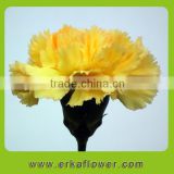 Reasonable price classical good quality Christmas decorative flowers big carnations