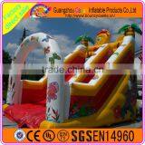 Funny Carton Design Inflatable Plastic Dry Slide