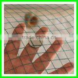 Plastic Vineyard Cover Bird Wire Mesh/fly Wire Netting thumbnail-4