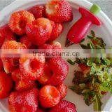 Factory Price ,Red,Strawberry Corer thumbnail-4