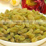 All Types of Raisins Golden Raisin Exporters thumbnail-1