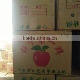 Unbagged Qinguan Apples thumbnail-3