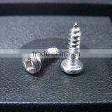 DIN7981 Pan Head Self-tapping Screw thumbnail-5