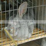 Automatic Cheap Rabbit Cages for Sale thumbnail-1