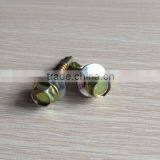 DIN7504 Carbon Steel Drilling Screw Zinc Plated thumbnail-2