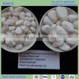 White Cobble Stone thumbnail-1