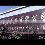 Xingtai Haihong Cycle Co., Ltd. company overview - view 1 thumbnail