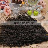 Pure Human Hair 8 to 28 Inch Natrual Color Black and More Color 100% Virgin Human Hair Weft