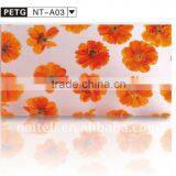 Naiteli Flora Translucent PETG Sheet for Decoration thumbnail-1