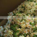 Factory Direct Wedding Decoration Pink Wintersweet Artificial Flower Plum thumbnail-6
