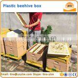 Flow Hive , Plastic Beehive , Beehive for Sale
