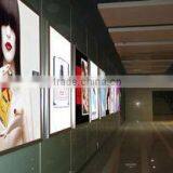 Price Acrylic Sheet/Organic Glass thumbnail-6