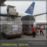 Drop Ocean Freight Shipping Container From China to USA thumbnail-2