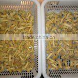 Frozen Nameko (frozen Mushroom)