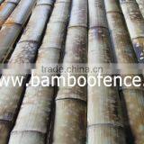 Eco-friendly Tortoise Burnt Bamboo Slats thumbnail-1