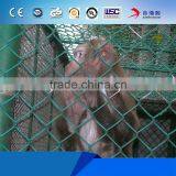 Wholesale Metal Farm Fencing 8 Gauge 5foot Black PVC Coated Cheap Chain Link Fence Prices thumbnail-1