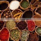 New Design ZNS3-500-5000 Model the Newest Internal-heating Three Effect Energy Saving Evaporator for Liquid thumbnail-6