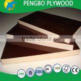 BB Grade Film Faced Plywood thumbnail-2