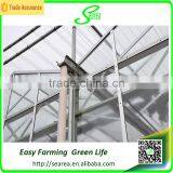 Modern Agricultural Equipments Glass Commercial Greenhouses thumbnail-4
