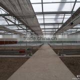 Low Cost Normal Commercial Greenhouse thumbnail-4