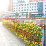 SOL 2015 NEW DESIGN Vertical Green Green Wall Planter Plastic Green Wall Planter thumbnail-4