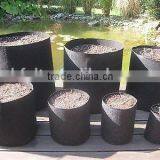 Non-woven Plant Grow Bags, High Strength, Anti-UV thumbnail-3