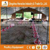 Heracles Trade Assurance Good Quality Brolier Poultry Farming Feed Raw Materials Suppliers in South Africa thumbnail-1
