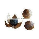 Organic Solo Black Garlic thumbnail-1