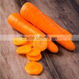 Chinese Fresh Vegetable Fresh Market Carrot thumbnail-4