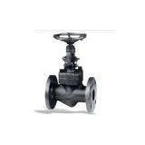 Forged steel flanged globe valve