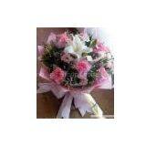 D.P. Barbara thumbnail-1