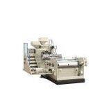 Two-Layer LLDPE Stretching Film Making Machine (SJ-65*2-1250)