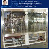 Juice Filling Machine in Plastic Bottle in Zhangjiagang City thumbnail-2