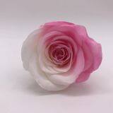 Preserved Rose Preserved Flowers Dried Flowers Birthday Valentine Party Wedding thumbnail-4