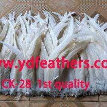 Bleached Black Rooster/Coque/Cock Tail Feather 14-16