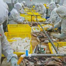 Yantai Transocean Foodstuff Co.,Ltd company overview - view 3 thumbnail